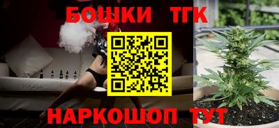 твердый Бийск