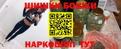 твердый Бийск