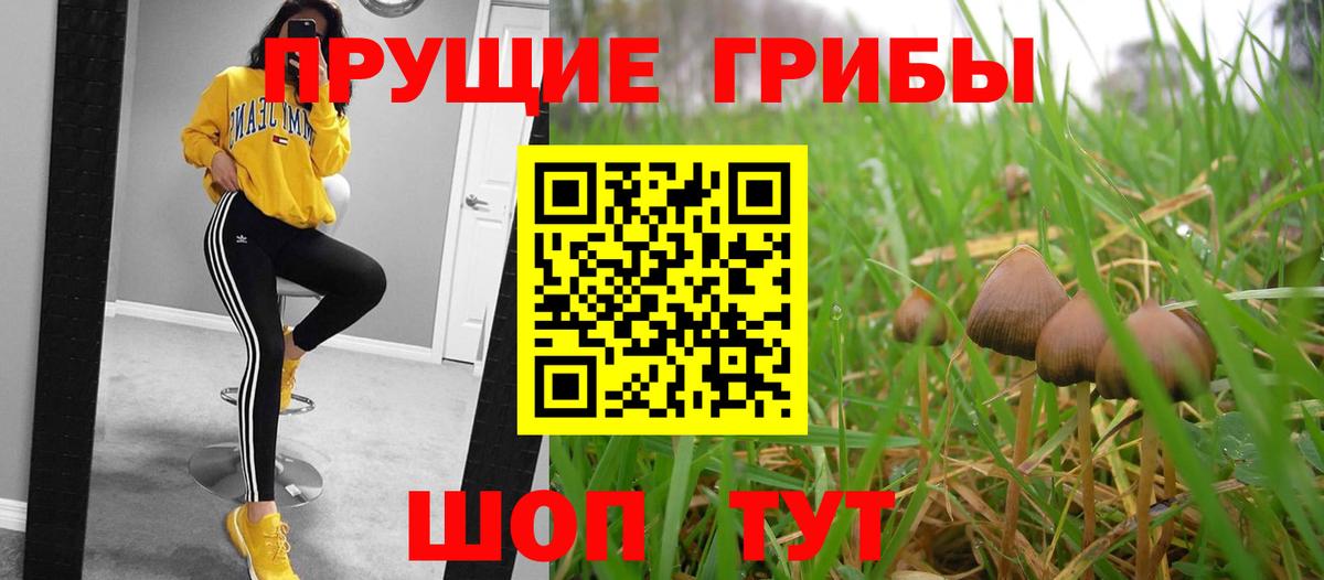Псилоцибиновые грибы прущие грибы  Псилоцибиновые грибы Psilocybe  Кисловодск  Вход с VPN 