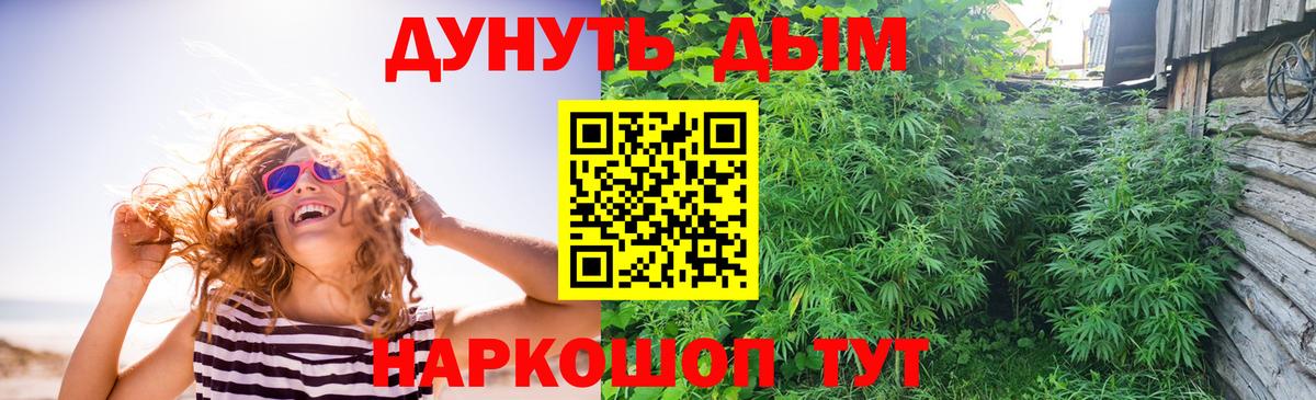 Каннабис гибрид Кисловодск